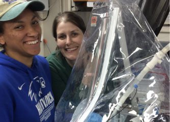 students working in lab